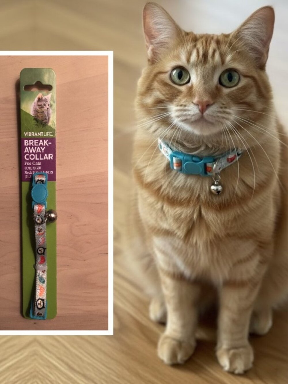 NEW Cute Break-Away Collar for Cats - Sushi Design - One Size